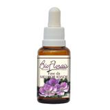 Bio Florais Fase da Melhor Idade 37ml Dinamiza as capacidades sensoriais e intelectuais