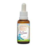 Bio Florais Kids Reequilibrio Alimentar 37ml - Bioflorais