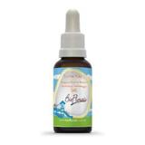Bio Florais Kids Rescue 37ml - Bioflorais