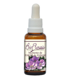 Bio Florais Momento de Parar de Fumar 37ml Auxilia na determinação e autodomínio