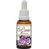 Bio Florais Momento de Quebra das Correntes de Vícios e Dependências 37ml Favorece o autodomínio