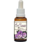 Bio Florais Momento de Reequilíbrio Alimentar