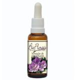 Bio Florais Sensação de Ansiedade 37ml Auxilia no Controle da Ansiedade