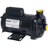 Bomba Centrífuga CP-4 - 1/4 CV - Dancor 110V