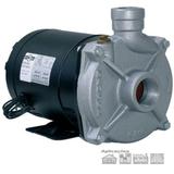 Bomba centrifuga dancor cam-w10 2 cv monofasico 127v/220v