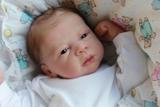 Boneco bebê Reborn Lucas II molde importado autentico - Baby dollls