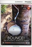Bounce! the wonderful world of rubber with online access - Cambridge university