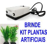 Boyu Sc-7500 Compressor De Ar 2 Saídas + Kit Plantas 30CM