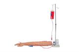 Braço para Treino de Injeção Intra Venosa e Muscular - SDORF Scientific