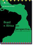 Brasil e África em Perspectiva: Faces de Uma Relação no Início do Século Xxi - Paco editorial