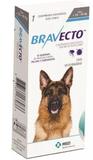 Bravecto Anti Pulgas e Carrapatos para Cães de 20 a 40kg - Msd