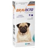 bravecto antipulgs e carrapato - Msd