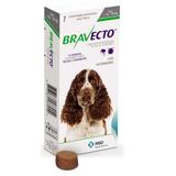 Bravecto Comprimido Mastigável Antipulgas e Carrapatos para Cães de 10 a 20kg - Msd