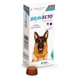 Bravecto Comprimido Mastigável Antipulgas e Carrapatos para Cães de 20 a 40kg - Msd