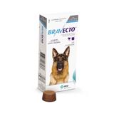 Bravecto Remédio para Carrapato e Pulga em Cachorro 20 a 40kg 1000mg - MSD