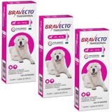 Bravecto Transdermal Cães 40 a 56kg Kit 3 unidades Antipulgas MSD