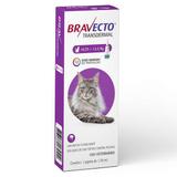 Bravecto Transdermal Gatos 6,25 a 12,5kg 500mg - Msd