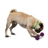 Brinquedo Amicus Para Cachorro Waggle Tam. P EPPR00003