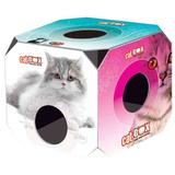 Brinquedo cat box adulto furacaopet - Furacão pet