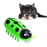 Brinquedo Inseto Eletrônico Joaninha Para Gatos Pets Emborrachado Cor Verde - Lrp
