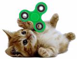 Brinquedo Spinner Gato Gira Gira - Pet import