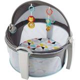Cabaninha do Bebê - FFG89- Cinza-Fisher-Price - Mattel