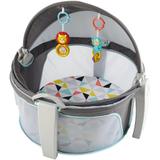 Cabaninha tipo Moisés do Bebê - FISHER-PRICE - Mattel