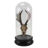 Cabeca de alce decorativo de resina com capsula de vidro - Btc decor