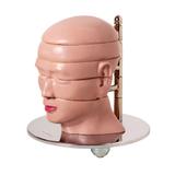 Cabeça em Disco Corte Axial 5 partes - Anatomic