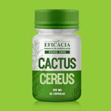 Cactus Cereus 200 mg - 30 cápsulas - Farmácia eficácia
