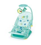Cadeira de descanso dobrável para viagem Mastela Verde Bebê - 7216 Ibimboo