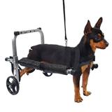 Cadeira De Rodas Para Cachorro de Porte Mini PP Regulável Pet Best Soluções