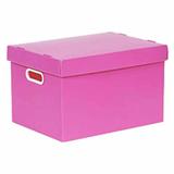 Caixa organiz. prontobox med rs / un / polycart