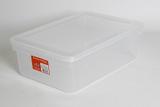 Caixa Organizadora Bioprátika Com Tampa Ref 0316 Pleion 10l