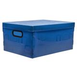 Caixa Organizadora Grande Azul - Dello