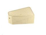 Caixa organizadora retangular de plástico com tampa e alça 35x24x11cm - Wincy