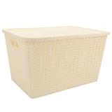 Caixa Organizadora Rígida plastico armários closet 34x24x20cm F-94458 - Fwb