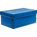 Caixa Organizadora TOP Line Sapato 28X17X20CM.AZ - Dello