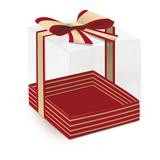 Caixa Para Panetone Acetato Natal Chic P 11x11x12 10 Peças - Cromus