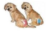 Calcinha Higienica C/ Absorvente Cães Poodle Lhasa Apaso - M - Amf pet