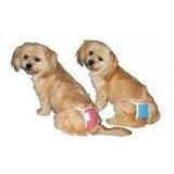 Calcinha Higienica C/ Absorventes Cães GG - Amf pet