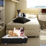 Cama Box Macia Impermeável Para Cachorros E Gatos Casa Dona de Luxo e de Fácil Lavagem