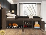 Cama Casal Pet Puppy Chocolate Framar
