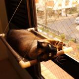 Cama De Gatos Para Janela Suspensa Catbed Parede Suede - Gatton
