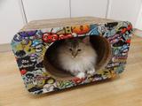 Cama e Arranhador Para Gatos Pet Games