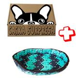 Cama Pet Cão Cães Gatos Tam P Caminha Cachorro + Caixa Surpr - Bom amigo pet