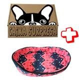Cama Pet Cão Cães Gatos TamPP Caminha Cachorro + Caixa Surpr - Bom amigo pet
