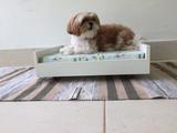 Cama pet com pezinho e colchão para decoração com kit de instalação fred planejados