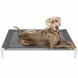 Cama Pet Elevada Cachorro e Gato Suspensa - Omnii fast