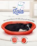 Cama Plastica Plast Pet Lola Roxo Carol n 04
